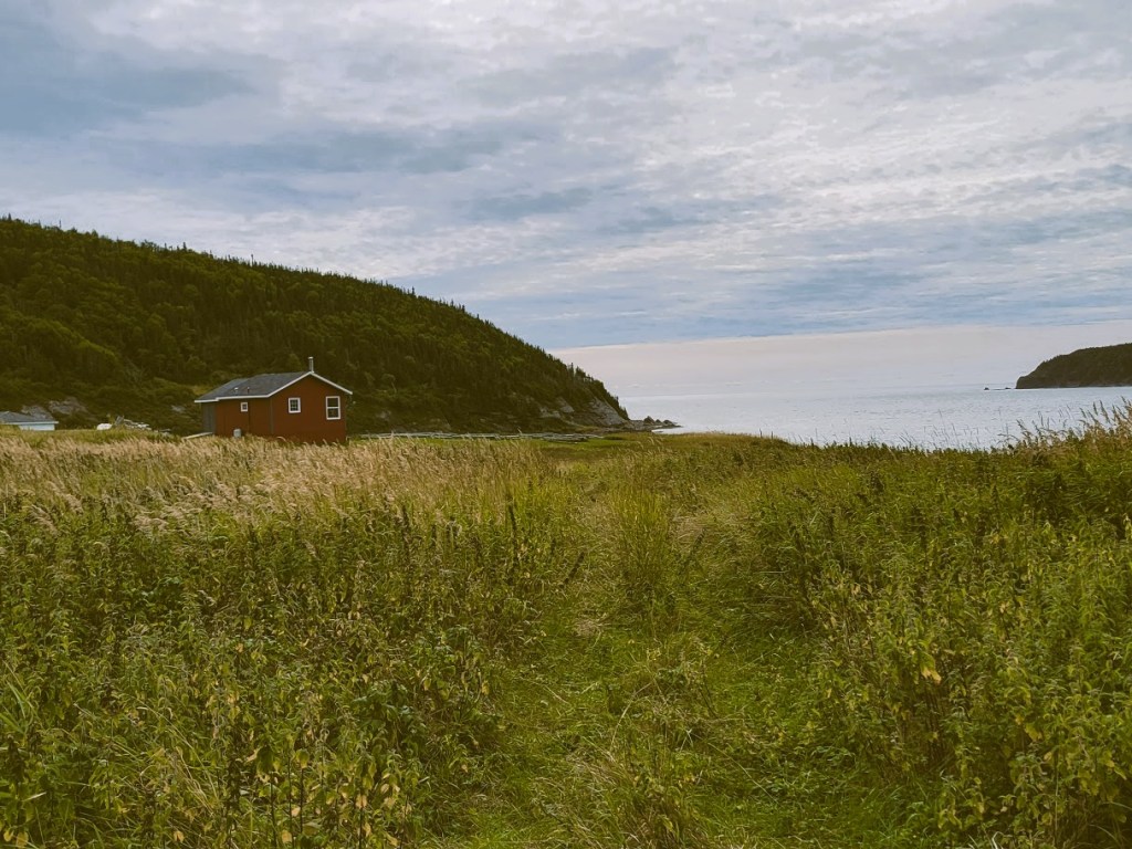 A scenic view of a remote coastal landscape in Newfoundland, featuring a small red building surrounded by grassy fields and hills under a partially cloudy sky.